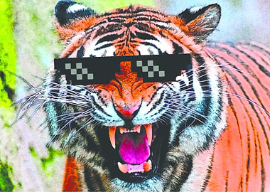 Colorful tiger. TURN DOWN FOR WHAT!