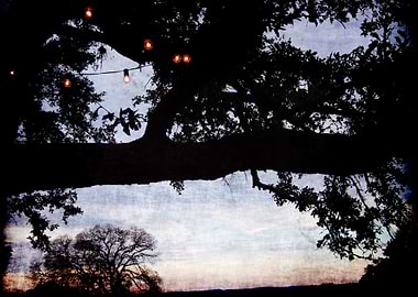 Texas Hill Country at Dusk