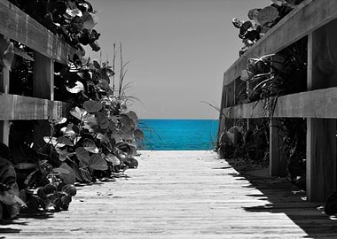 Partial color of Cocoa Beach