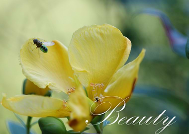 The beauty in the little things.