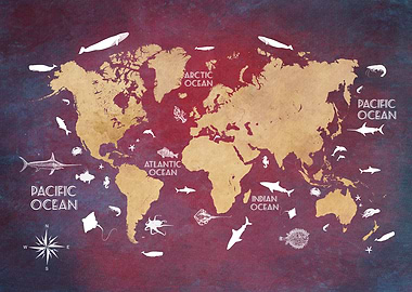 World Map Oceans Life