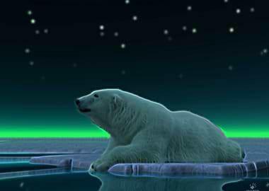 A peaceful moment in the long Arctic night. A Polar Bea ...