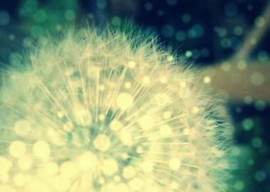 Glow-in-the-Dark Wishes