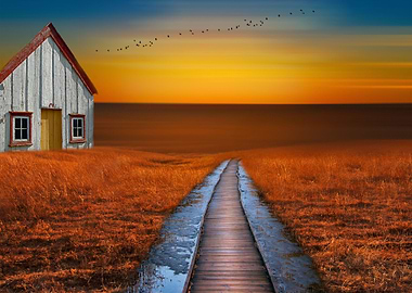 The little white cottage