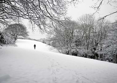 Snow covered fields