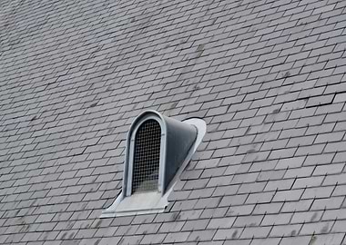 Slate roof of the Angoulême's City Hall, with a charact ...
