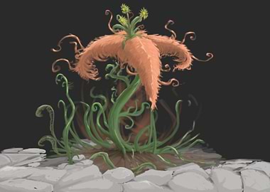 A unusual looking flower.