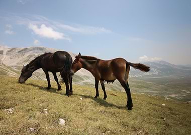 Parco Nazionale del Gran Sasso-Italy