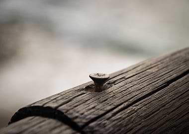 An everyday object, a screw in a wooden fence, next to ...