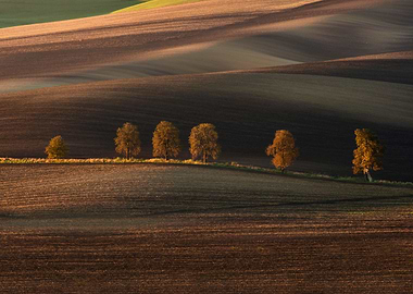 Postcards from Moravia