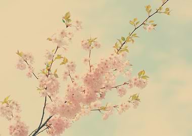 Barely there By chrissie Judge