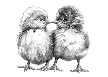 Baby Chicks - Little Kiss G133 by Svetlana Ledneva-Schu ...