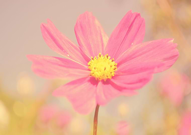 serenity By chrissie Judge