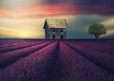 The Little Silver Barn By Chrissie Judge