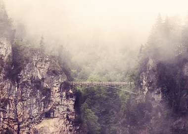 Pastel Pink Flower and Green Leaves