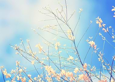 From the end spring new beginnings. By Chrissie Judge ...