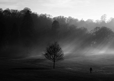 come forward into the light of things let nature be you ...