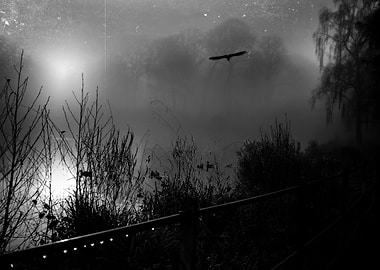 mystery of Autumn By chrissie Judge