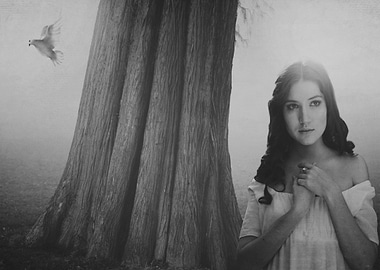 Yesterday's Dreams By Chrissie Judge