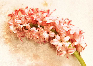 A Springtime Impression is a photography and mixed med ...