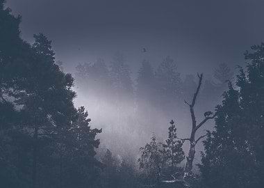 She stole something from me