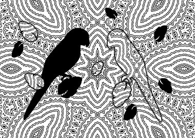 Parrots black and white Style