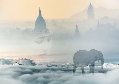 Walking through your dream