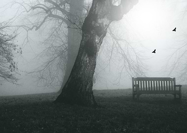 winter By chrissie Judge