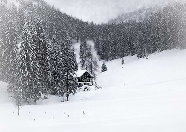 Bavarian Winter's Tale IX