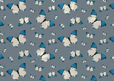 Spring Butterfly | Digital Art, 2016