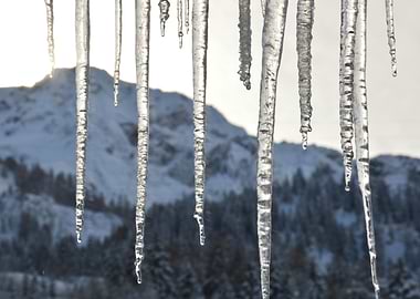the Swiss Alps , with icicles