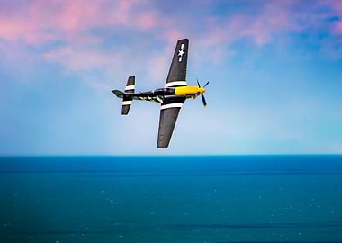 P-51 Mustang 'Ferocious Frankie'