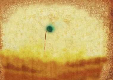 A little flower, eager to arrive by boat