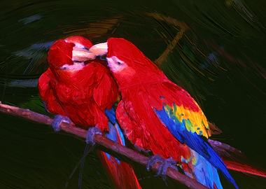 Kissing parrots