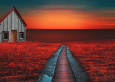 The little White cottage By Chrissie Judge