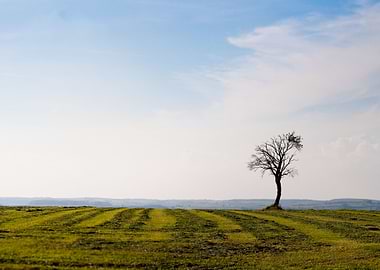 Sitting on the edge of the world.