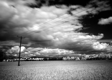 Infrared image of a field, Scotland.