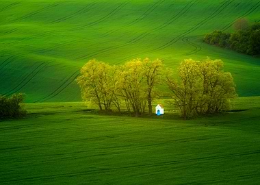 South Moravia, Czech Republic