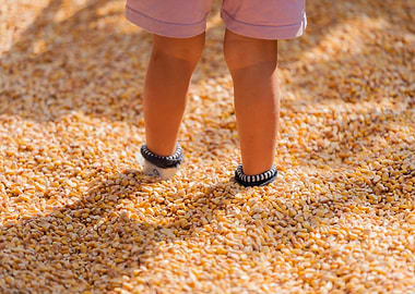 children playing with corn