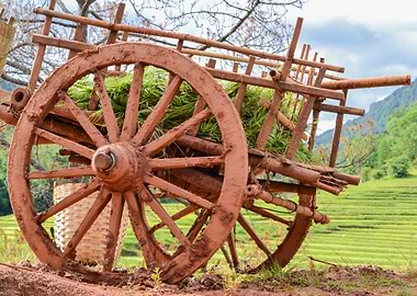 old wooden cart