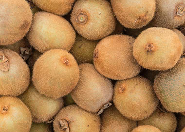 kiwi at market