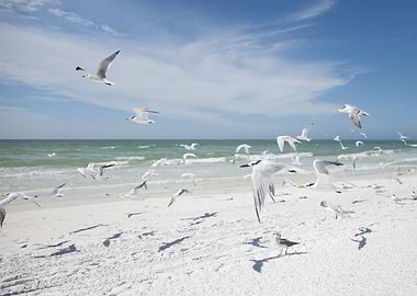 Siesta Key, Florida