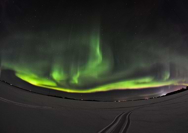 This beautiful photograph was taken New Year's Eve just ...