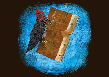 ''Bookpecker'' artwork for booklovers...