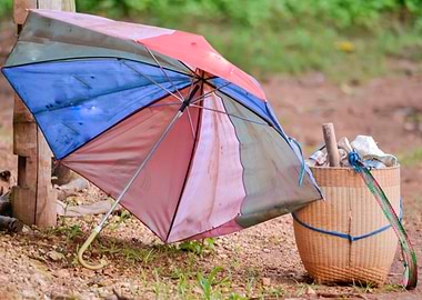 old tool in the field