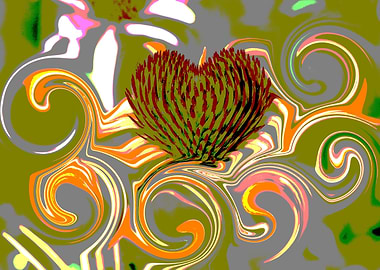 abstract coneflower in garden