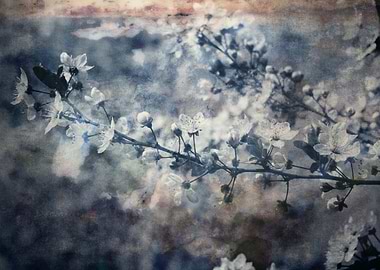 pink flowers on the tree