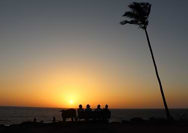 Watching the sunset with friends