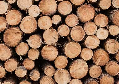 I like to call this style of Pictures Woodart. The colo ...