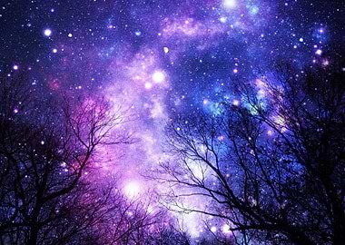 Black Trees Purple Blue Space